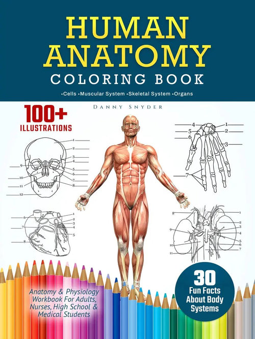 Human Anatomy Coloring Book — 100+ Illustrated Study Plates for Nursing & Health Students