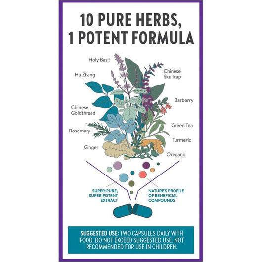 New Chapter Zyflamend Herbal Pain Relief+ & Joint Supplement