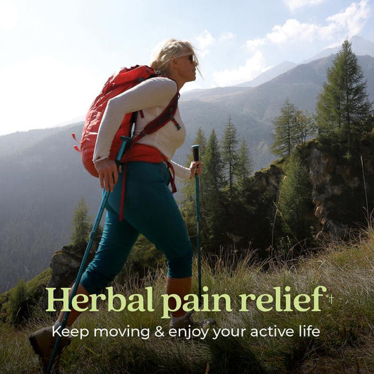 New Chapter Zyflamend Herbal Pain Relief+ & Joint Supplement