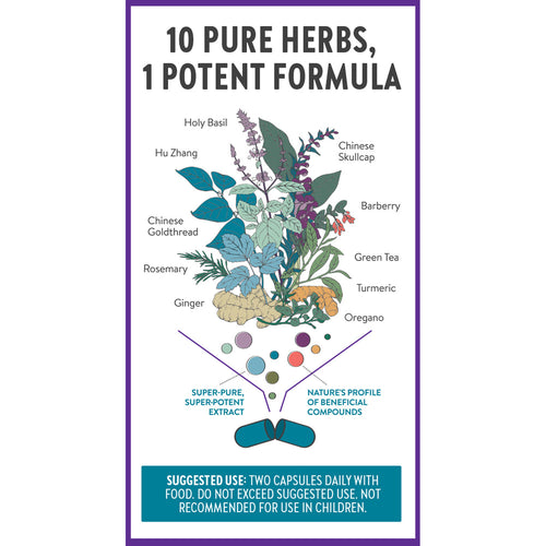 Zyflamend™: Herbal Pain Relief† & Inflammation Support†