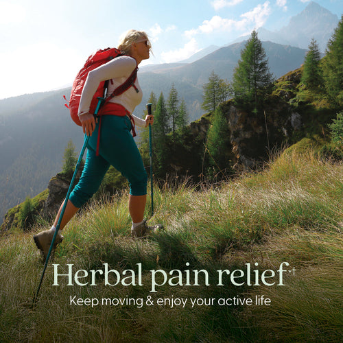 Zyflamend™: Herbal Pain Relief† & Inflammation Support†